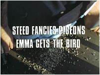 The Bird Who Knew Too Much