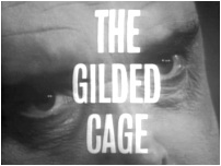 The Gilded Cage