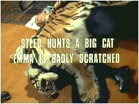 The Hidden Tiger