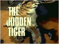 The Hidden Tiger