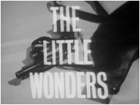 The Little Wonders