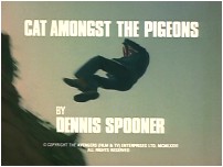 Cat Amongst The Pigeons