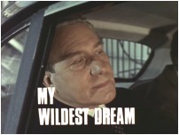 My Wildest Dream